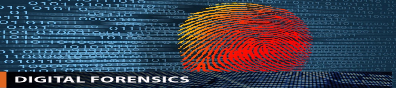Digital Forensics Course in Pune S Link Cyber Solutions CHFI Certificate